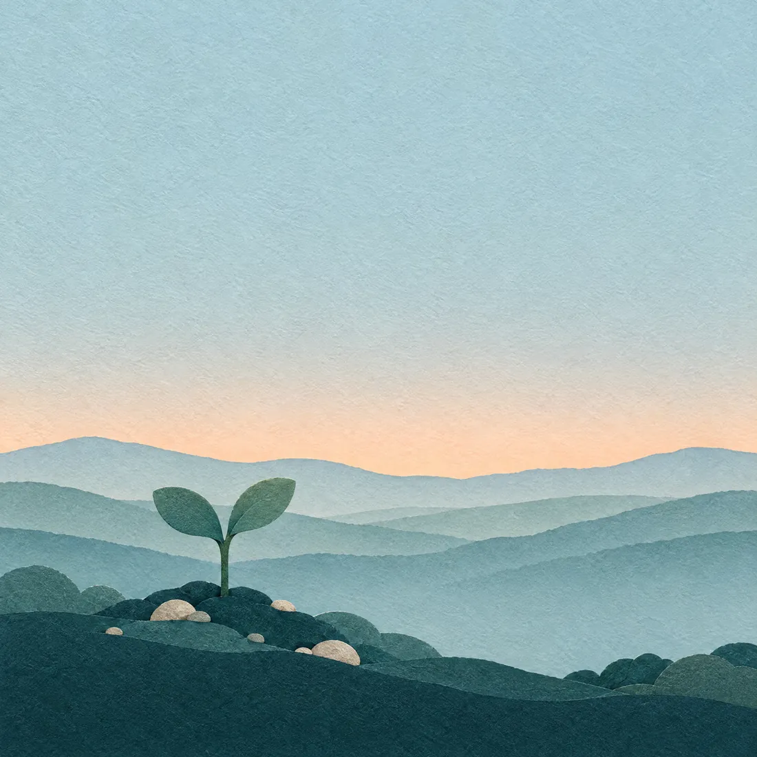 A cut-paper picture of a small sprout growing from soft soil, with misty hills behind